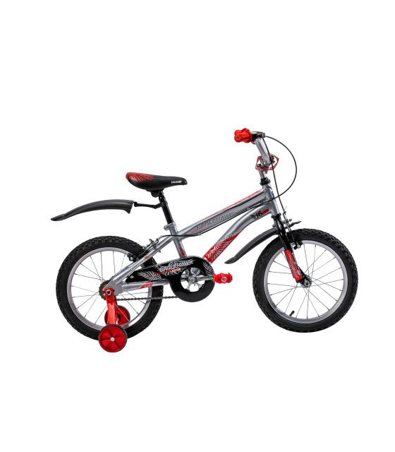 Bicicleta R16 1v Con Ruedas De Entrenamiento, Edad 4-6 Años para Niños  Naranja REGALOMEX YC011624-NARANJA
